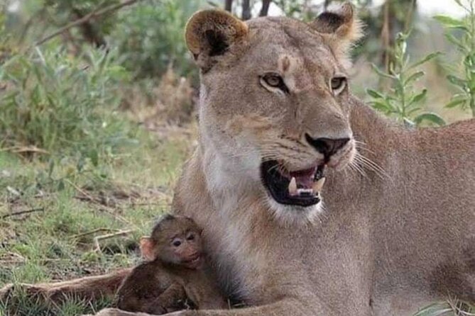 07-Days Murchison Falls, Queen Elizabeth & Gorillas Safari - Lake Bunyonyi or a Batwa community visit