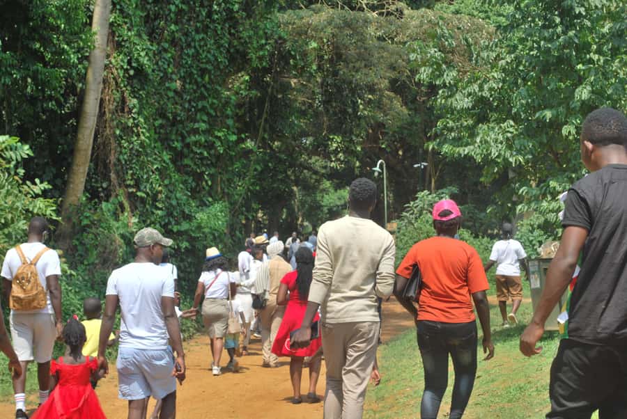 1-Day Best of Entebbe City Guided Walking Tour - Why this Entebbe walk is worth considering