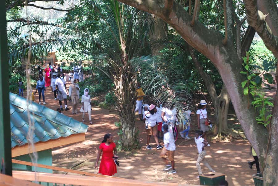 1-Day Best of Entebbe City Guided Walking Tour - Nambi fish market and the lakeside side of town