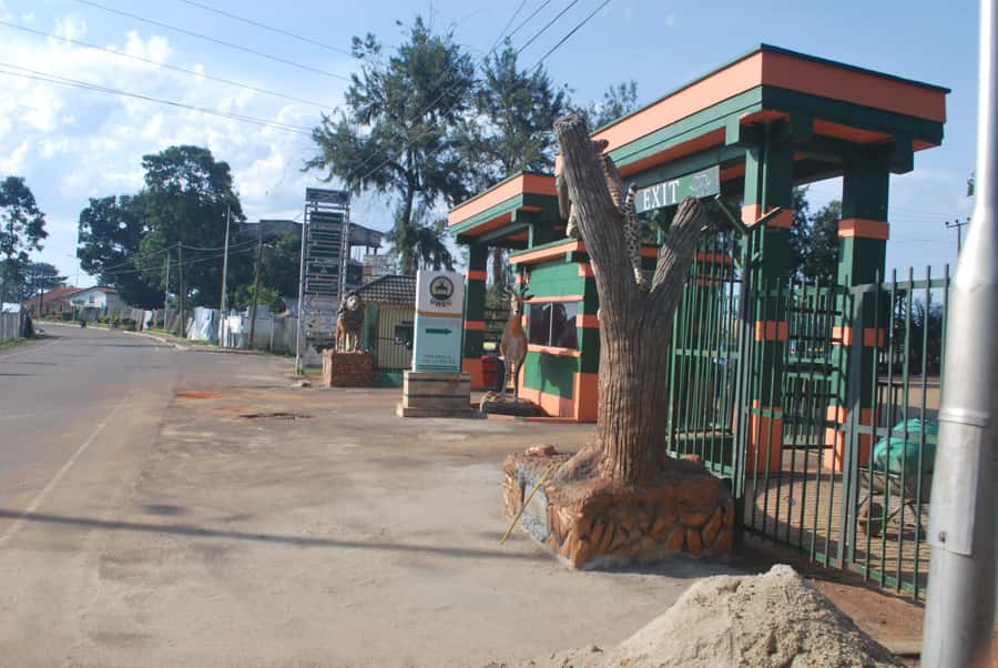 1-Day Best of Entebbe City Guided Walking Tour - Entebbe Botanical Garden, the day’s strongest stop