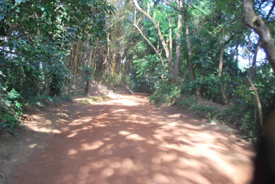 1-Day Best of Entebbe City Guided Walking Tour - Coffee at Gorilla Conservation Coffee