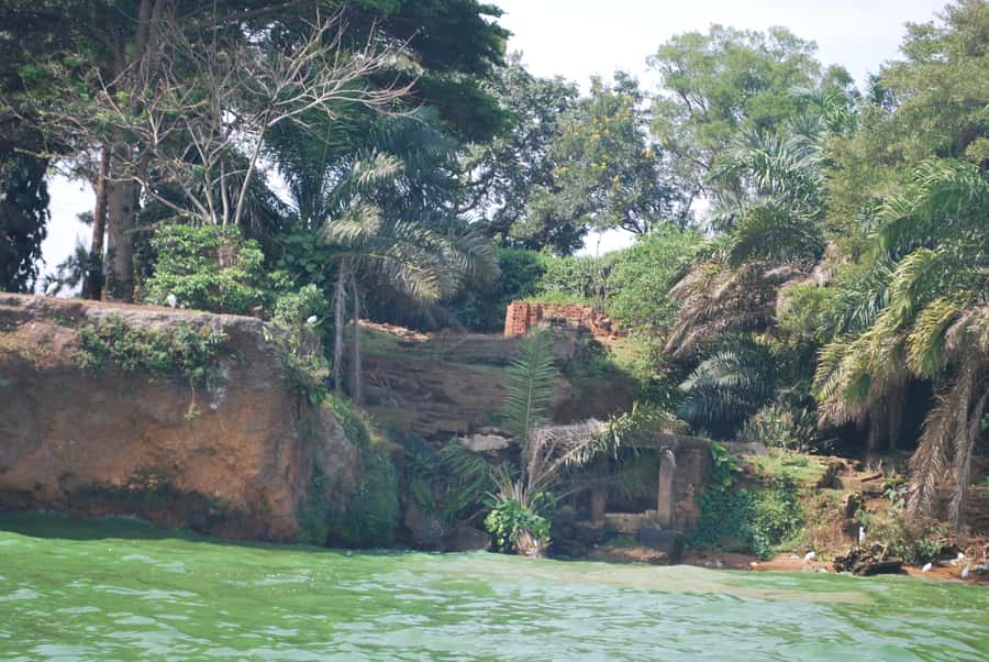 1-Day Best of Entebbe City Guided Walking Tour - Meeting at Victoria Mall and finding your pace