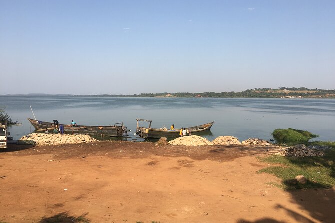 1 Day chimpanzee trekking at Ngamba Island - The 50-minute crossing from Waterfront Beach