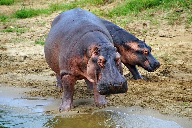 1 Day Lake Mburo National Park Short Safari from Kampala - The five lakes and the value of the water stops