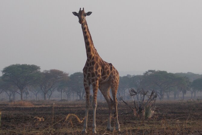 1 Day Lake Mburo Wildlife Safari - The 6:00 am start from Kampala