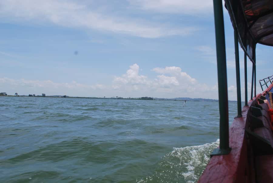 1-Day Mabamba Shoebill Birding Tour in Lake Victoria Entebbe - Crossing Lake Victoria from Nakiwogo Landing Site
