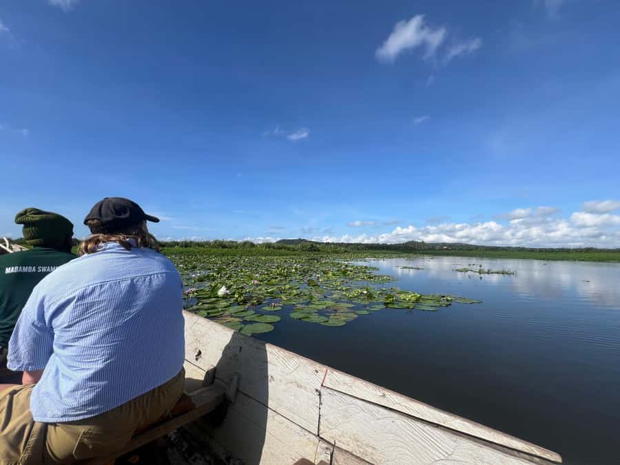 1-Day Mabamba Shoebill Birding Tour in Lake Victoria Entebbe - The other birds that make Mabamba special