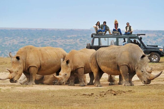 10-Day African Safari in Uganda from Kampala - Why this route works for a first Uganda safari