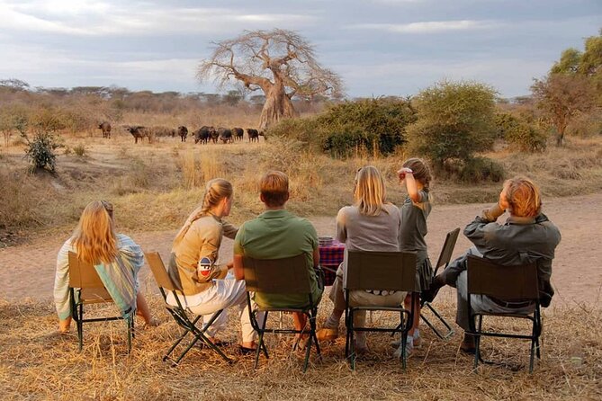 10-Day African Safari in Uganda from Kampala - Days 4 and 5: Tea country and chimpanzees in Kibale