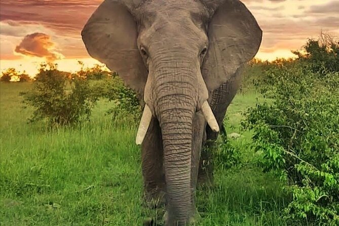 10-Day African Safari in Uganda from Kampala - Day 10: Equator stop and the return to Entebbe