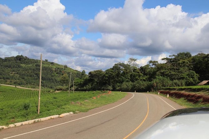 10 Day Western Uganda Budget Wildlife Safari - Days 5 and 6: Kasenyi plains, Kazinga Channel, and the road south