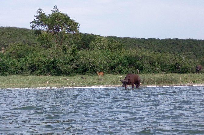 11 Days Uganda +Gorillas - Starting in Entebbe and getting oriented