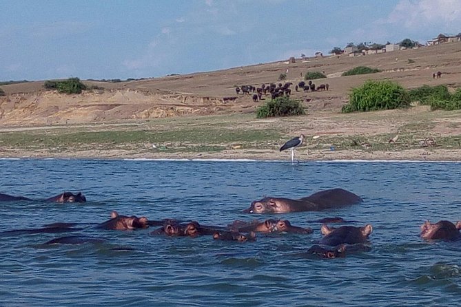11 Days Uganda +Gorillas - Lake Bunyonyi offers a quieter change of pace