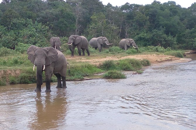 11 Days Uganda +Gorillas - The 4x4 setup and what the price really covers