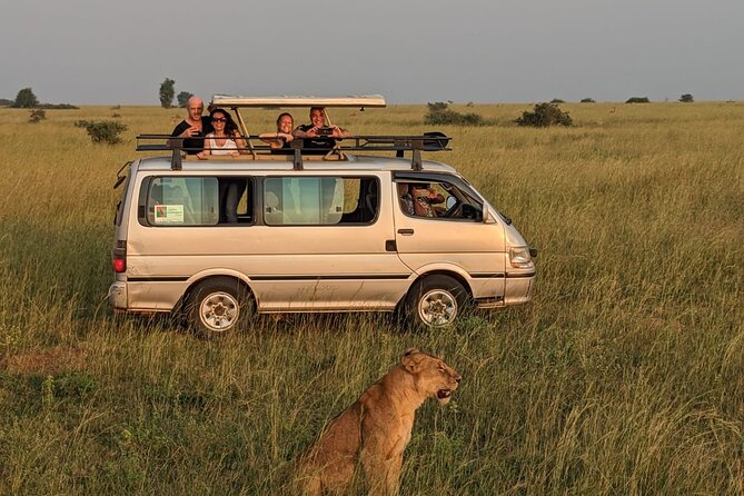 12-Day Moderately Priced Pearl of Africa - Uganda Private Safari - What the $2,959 price really covers