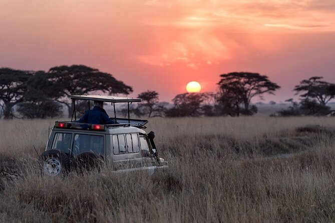 13 Days Wildlife Adventure Trip To The Pearl Of Africa - Ishasha and the Search for Tree-Climbing Lions