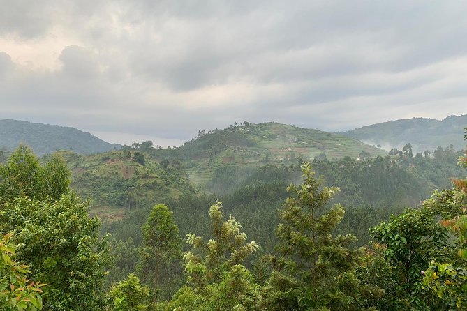 14 Day Pearl of Africa Uganda Classic Wildlife Safari - Day 6: Fort Portal crater lakes on the way to Queen Elizabeth