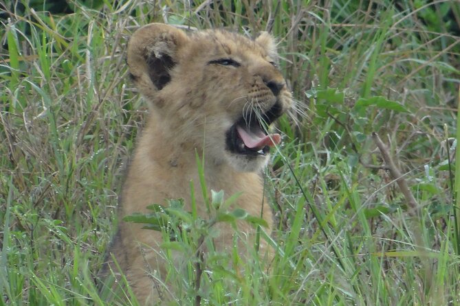 14 Days Uganda Safari Adventure, Gorilla Trekking and WildlifeTour - Day 7: Queen Elizabeth and the salt lakes of Katwe