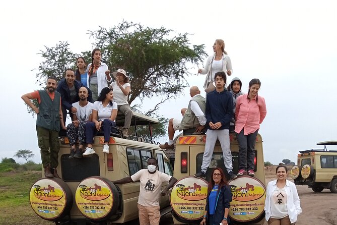 15-Day Gorilla and chimps Trekking, Big 5 and Nature Sighting Safari - Kibale Forest and three kinds of walking