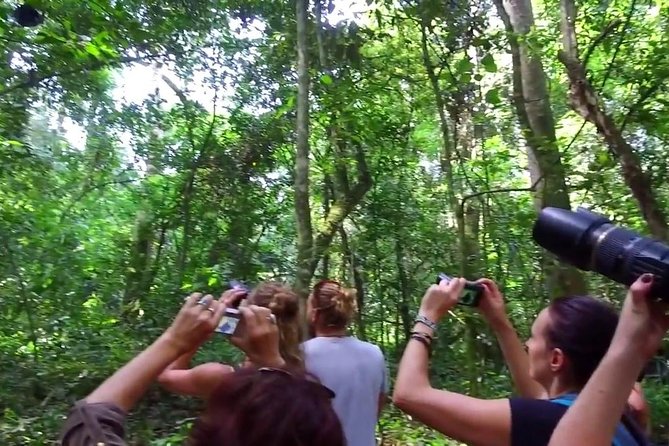 2 Days Chimpazee Safari In kibale Forest Park Uganda. - Reporting at Kanyanchu Tourist Centre at 8:00 am