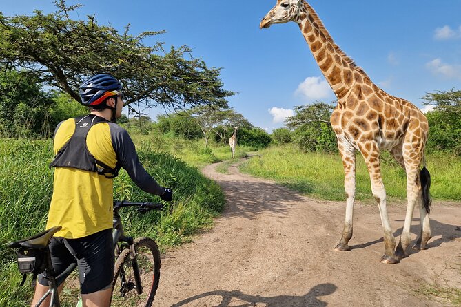2 Days Cycling Safari To Lake Mburo National Park - The Equator stop breaks up the long transfer
