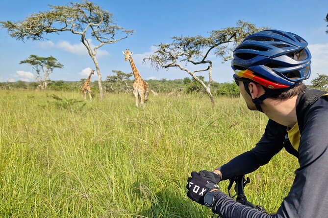 2 Days Cycling Safari To Lake Mburo National Park - Cycling among giraffes, zebras, and buffaloes