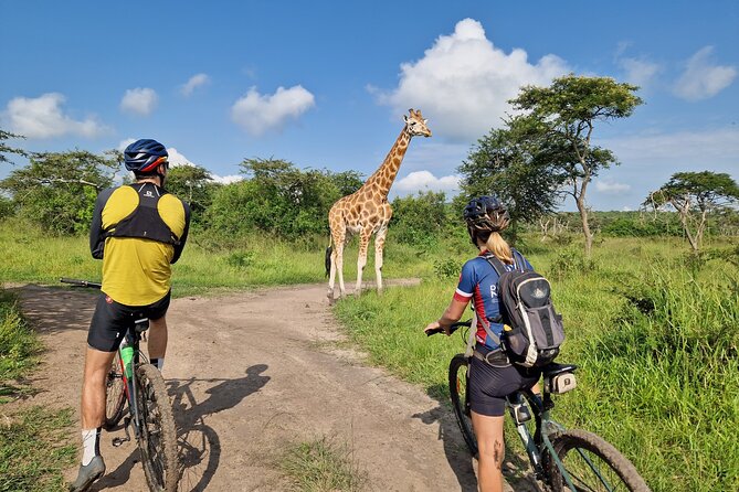 2 Days Cycling Safari To Lake Mburo National Park - One night of full-board accommodation