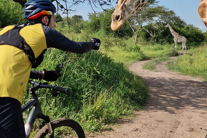 2 Days Cycling Safari To Lake Mburo National Park - The second ride takes you inside the park
