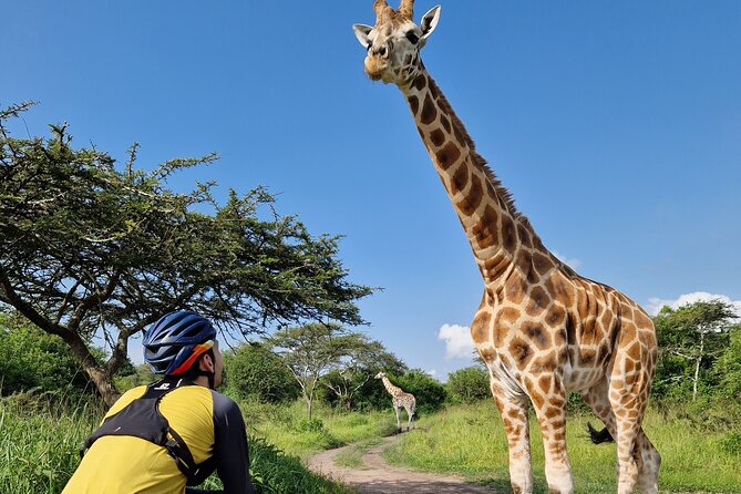 2 Days Cycling Safari To Lake Mburo National Park - The night safari is an optional extra