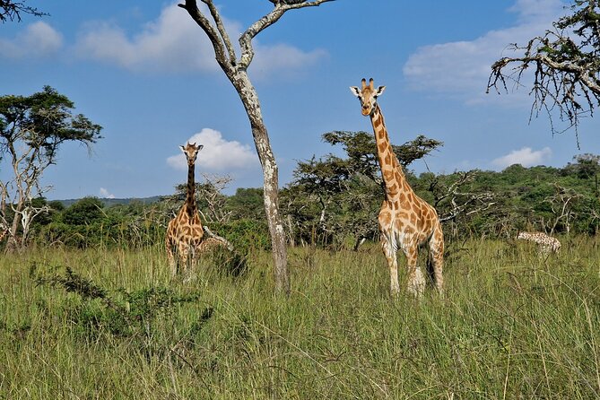 2 Days Cycling Safari To Lake Mburo National Park - Leaving Kampala at 7:00 in the morning