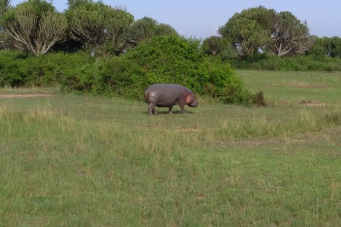 2 Days Family Safari to Murchison Falls Park Uganda - Who will enjoy this safari most
