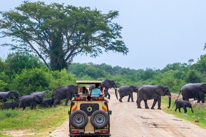 2 Days Murchison Falls Park Vacation - Why this two-day route works