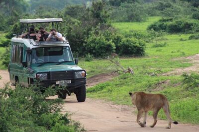 2 Days Murchison Falls Park Vacation
