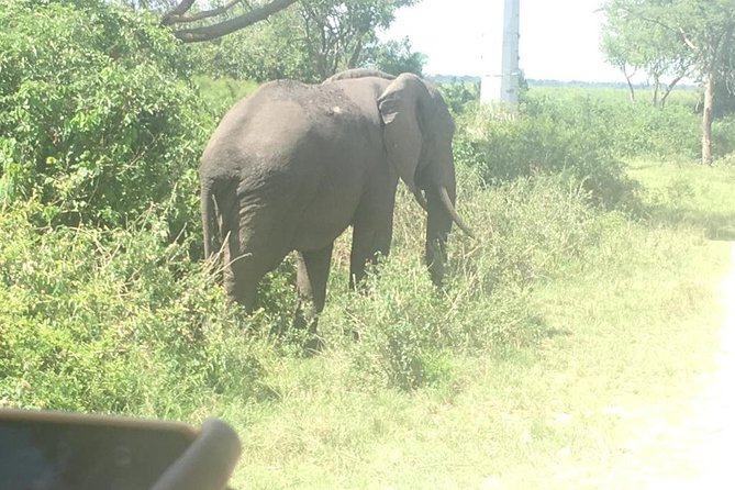 2 Days Safari To Queen Elizabeth National Park with Cruise - The long drive from Kampala to Queen Elizabeth