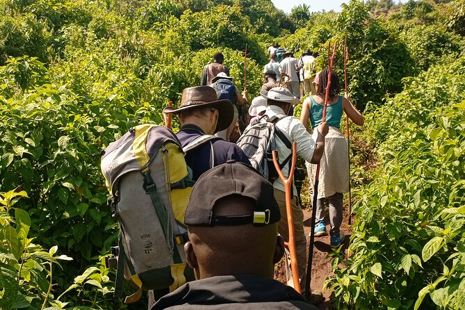 2 Days Sipi Falls Hike and Coffee Tour - What makes the Mount Elgon setting special