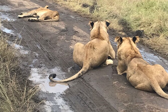 25 day uganda Rwanda kenya and Tanzania safari Zanzibar inclusive - Is $25,500 per person good value?