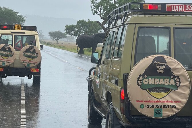 2Days Murchison Falls NP Safari - The long return to Kampala