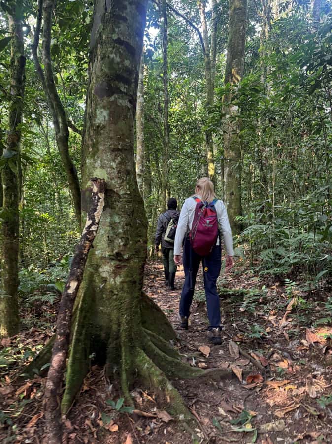 3-Day Gorilla Experience In Uganda - What to Pack for Bwindi and the Lake
