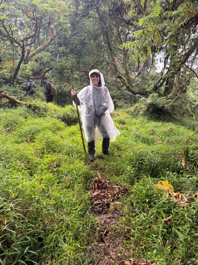 3-Day Gorilla Experience In Uganda - Should You Book the 3-Day Gorilla Experience?