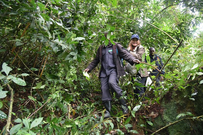 3-Day Gorilla Trekking safari in Bwindi Impenetrable Forest - Lake Bunyonyi gives the trip breathing room