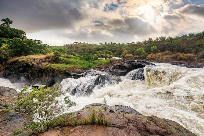 3-Day Mind Refreshing in Murchison Falls National Park - Day Two: Ten Hours of Game Drive and Nile Water