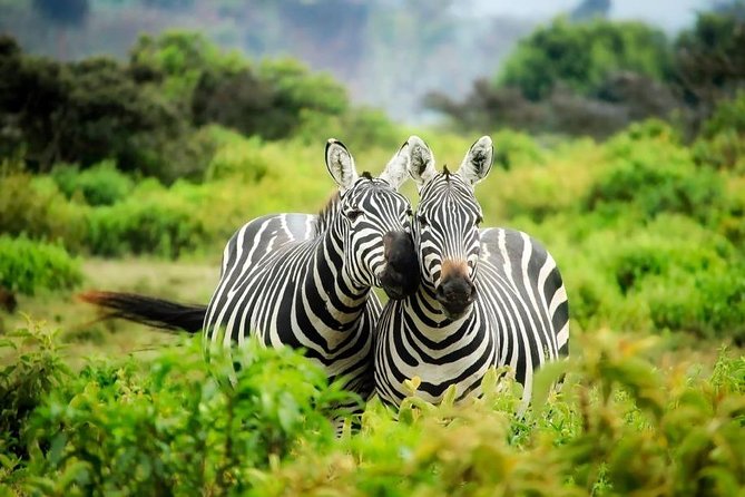 3-Day Mind Refreshing in Murchison Falls National Park - Private Transport, Lodging, and the $1,600 Price