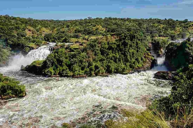3-Day Mind Refreshing in Murchison Falls National Park - Day One: From Entebbe to Ziwa Rhino Sanctuary