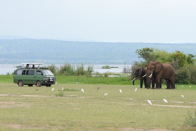 3 Day Murchison Falls' BIG 5 and Wildlife viewing Safari - Day 3: The long return to Kampala