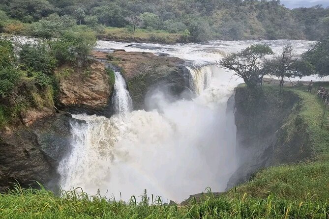 3 Day Murchison Falls' BIG 5 and Wildlife viewing Safari - Who should book this safari?