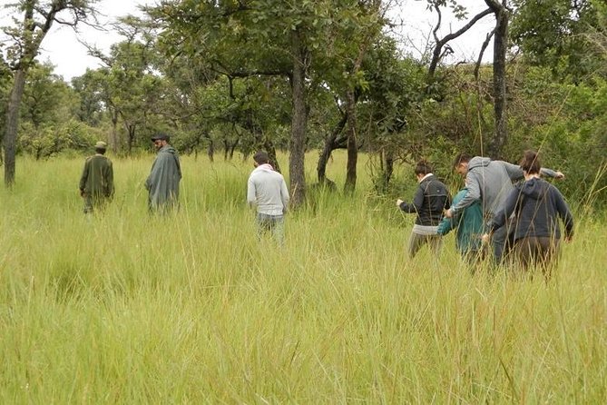 3-Day Murchison Falls National Park - Adventure Safari - Four Uganda highlights in three busy days