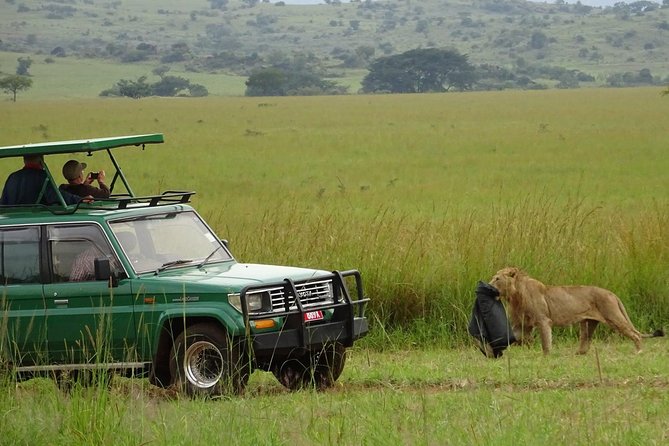 3-Day Murchison Falls National Park - Adventure Safari - How the private format affects the experience