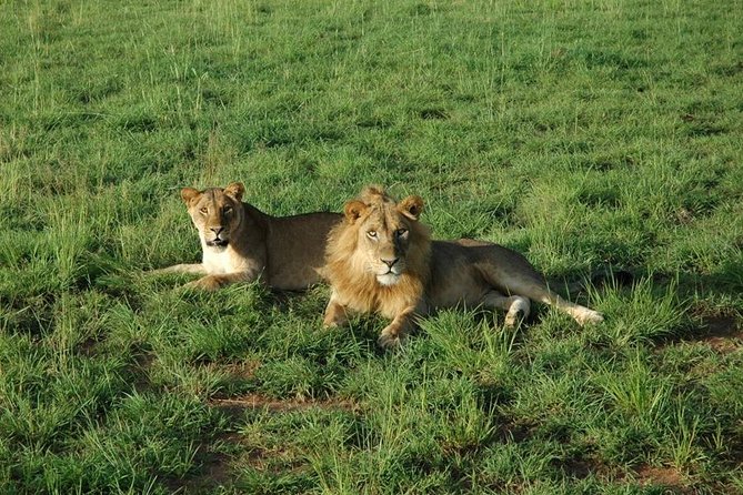 3-Day Murchison Falls National Park - Adventure Safari - Who should choose this three-day safari?
