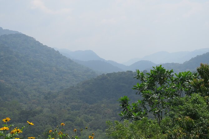 3 -Day Private Gorilla Trekking Safari in Bwindi Forest - Day 3: The long return to the Equator