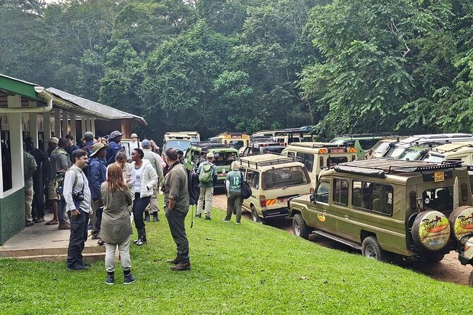 3-Day Private Guided Gorilla Trekking In Uganda - What the $1,498 price really covers